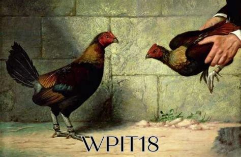 wpit18